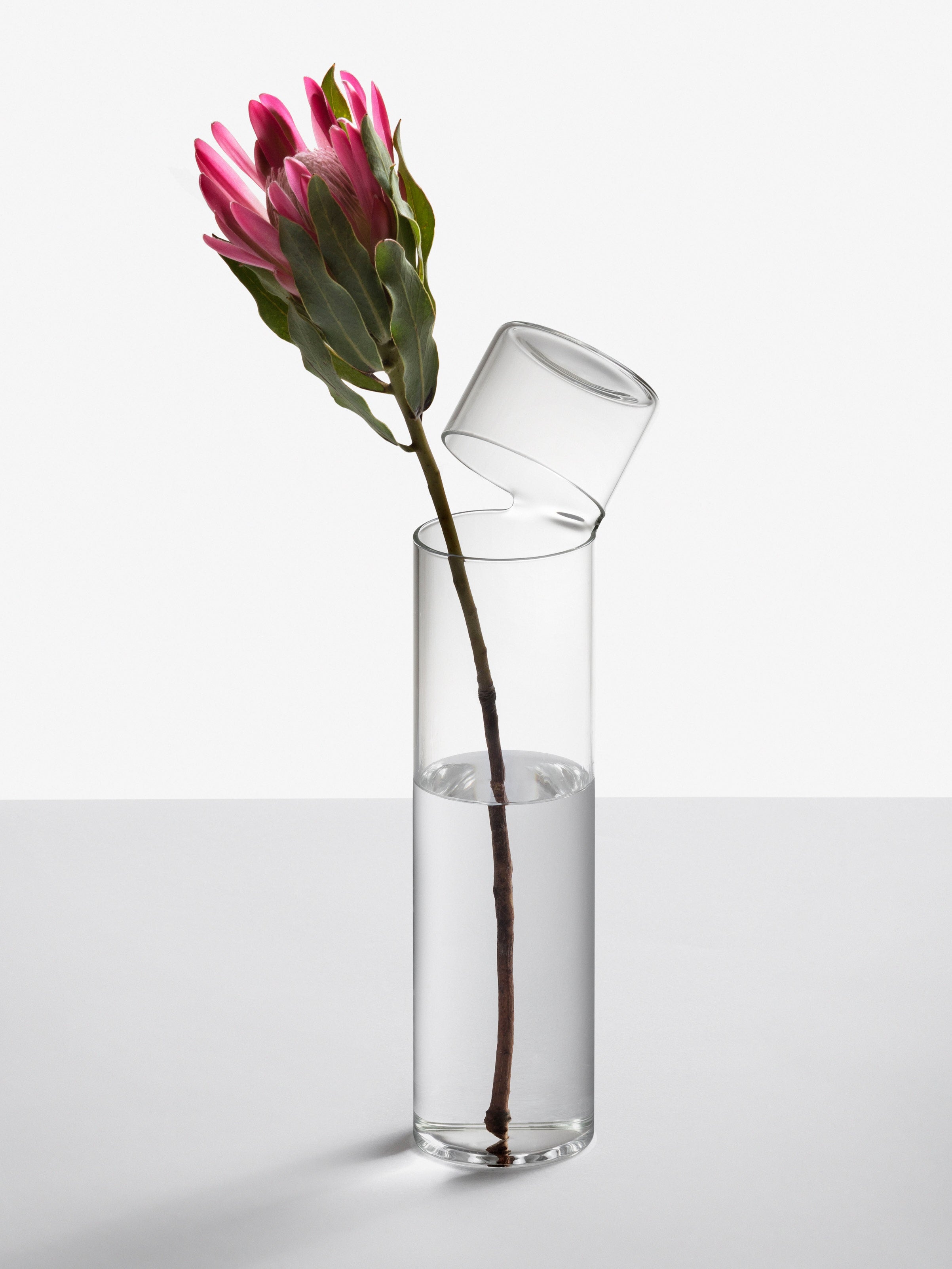 Ichendorf Milano - Attesa Big Flower Vase – Frances May